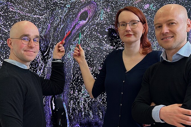 Mischa Selig, Jana Ihlow (zentral) und Livius Penter (rechts) vor einem Zellbild 