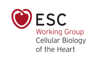 Nucleus Member 