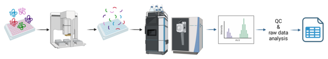 Schematic of an examplary workflow. A 96-well plate containing plasma samples. Arrow. Agilent Bravo pipetting robot. Arrow.  Another 96-well plate containing disgested samples. Arrow. LC-MS Instrument Arrow. Spectral Data output. Arrow. QC & raw data analysis. Arrow. An Icon of a Spreadsheet.