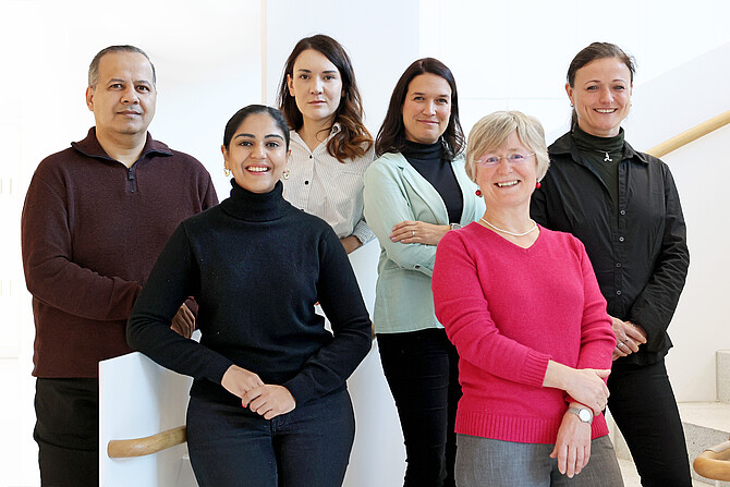 Team des BIH Clinical Incubators