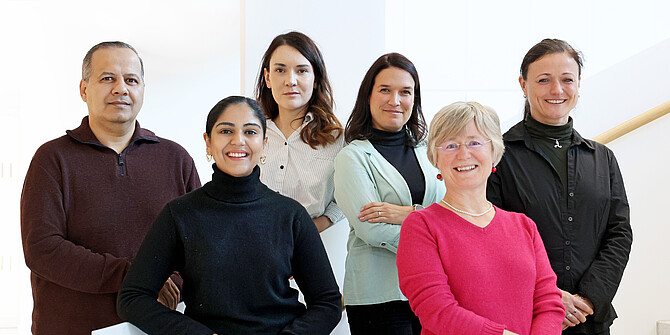 Team des BIH Clinical Incubators