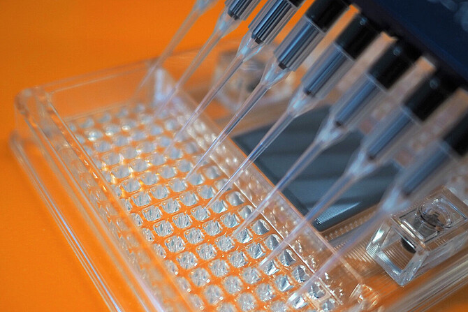 Befüllen eines Mikrofluidikchips mittels einer Multikanalpipette