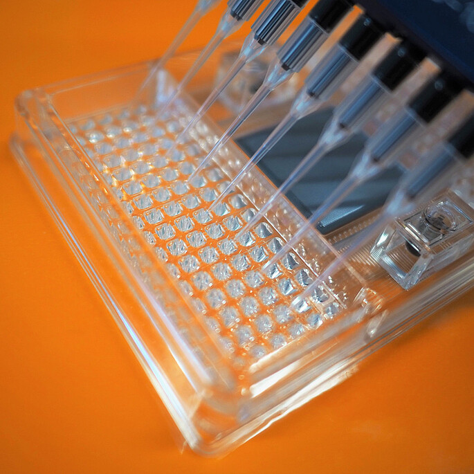 Befüllen eines Mikrofluidikchips mittels einer Multikanalpipette